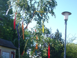 Maibaum 2009a